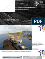 Dynamics of Coal Transition in Indonesia - The Economic Power and Climate Perspectives