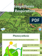 Za NST 1639929128 Photosynthesis and Respiration Ver 1