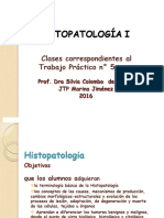 Clase Histopatologia 1