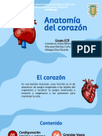 Anatomia de Corazon 