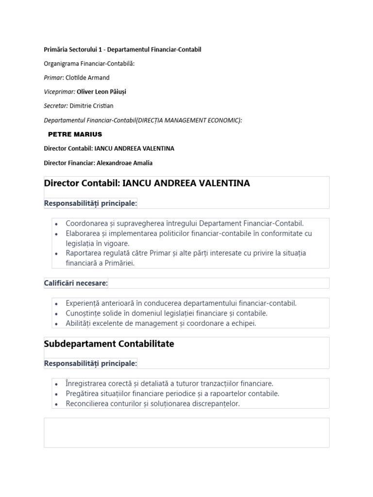 Departamentul FInanciar-contabil | PDF
