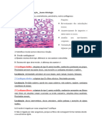 Exame Final 1 Epoca, Histologia