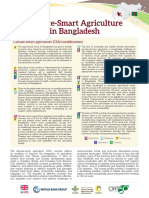 CSA Profile Bangladesh