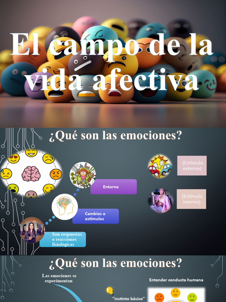 El Campo de La Vida Afectiva | PDF | Las emociones | Comunicación no verbal