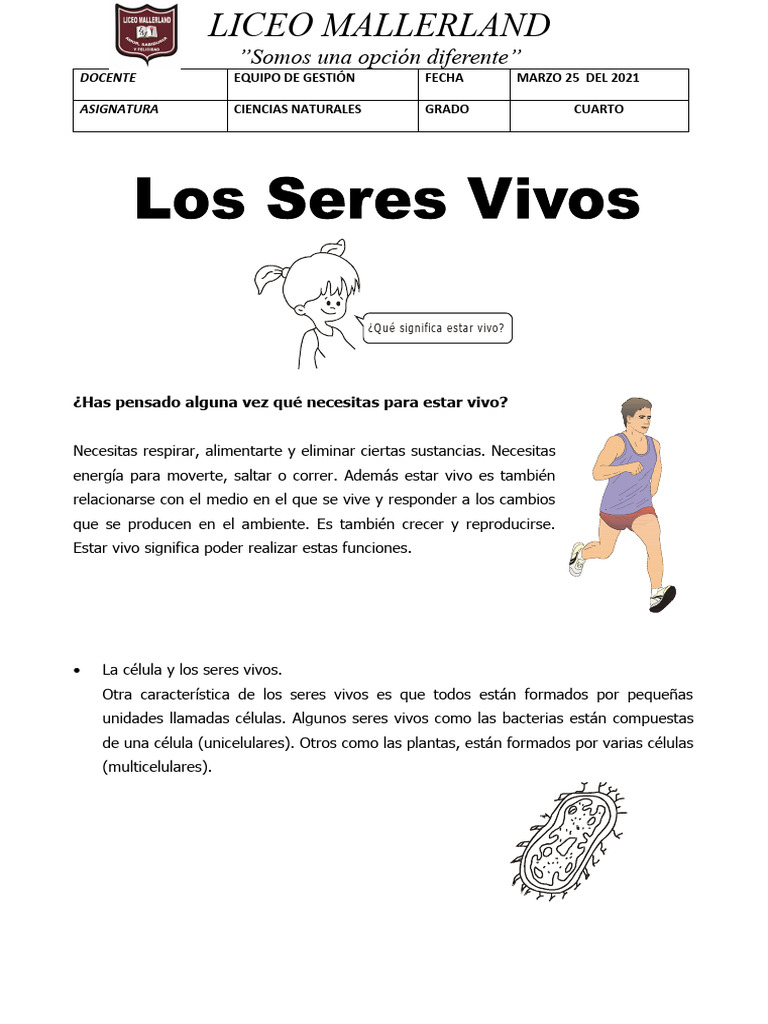 Características de los Seres Vivos para 4to Grado | PDF | Relaciones ...
