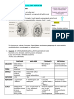 SINUSITIS 