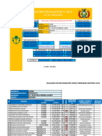 Registro Pedagógico Primaria Oficial