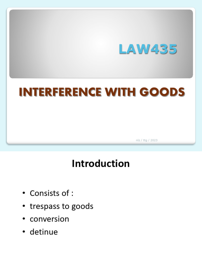Interference With Goods 2023 PDF