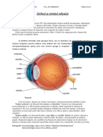 Ochiul Şi Simţul Văzului