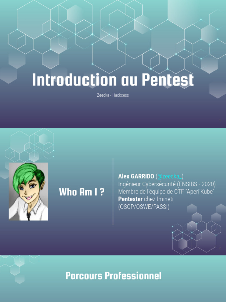 Introduction au Pentest et CTF | PDF | Audit | Système de noms de domaines