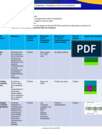 1°P-A3 - Cuadro Comparativo Tipos de Transporte Sesión 11-14