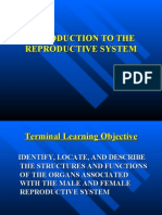 Pp03l040_introduction to the Reproductive System