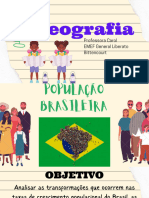 População Brasileira