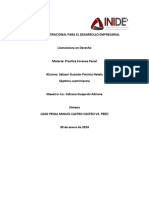 Caso Penal Miguel Catro Catro Vs Perú