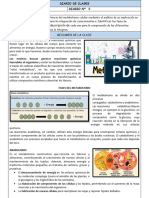 Diario 8 Biologia Segundo Parcial