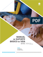 Manual_SBV_DAE.pdf