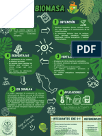 Infografia Biomasa