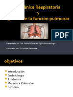 Fisiologia Respiratoria