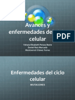 Avances y Enfermedades