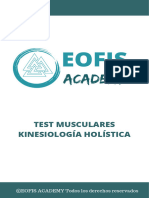 La Rueda Muscular Kinesiologia Holistica