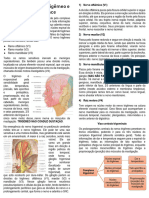 Anatomia Do Nervo Trigêmeo e Inervação Da Face