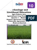 Tle10 Afa Agricrop q1 Mod3 Undertakeagronomiccropworkasdirected v5