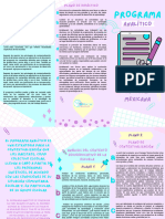 Tríptico Programa Analítico