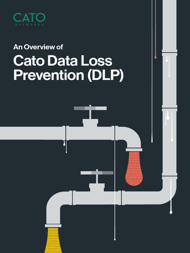 Cato DLP WP PDF Payment Card Industry Data Security Standard