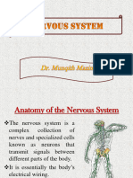 Neuro - S1 - Lab