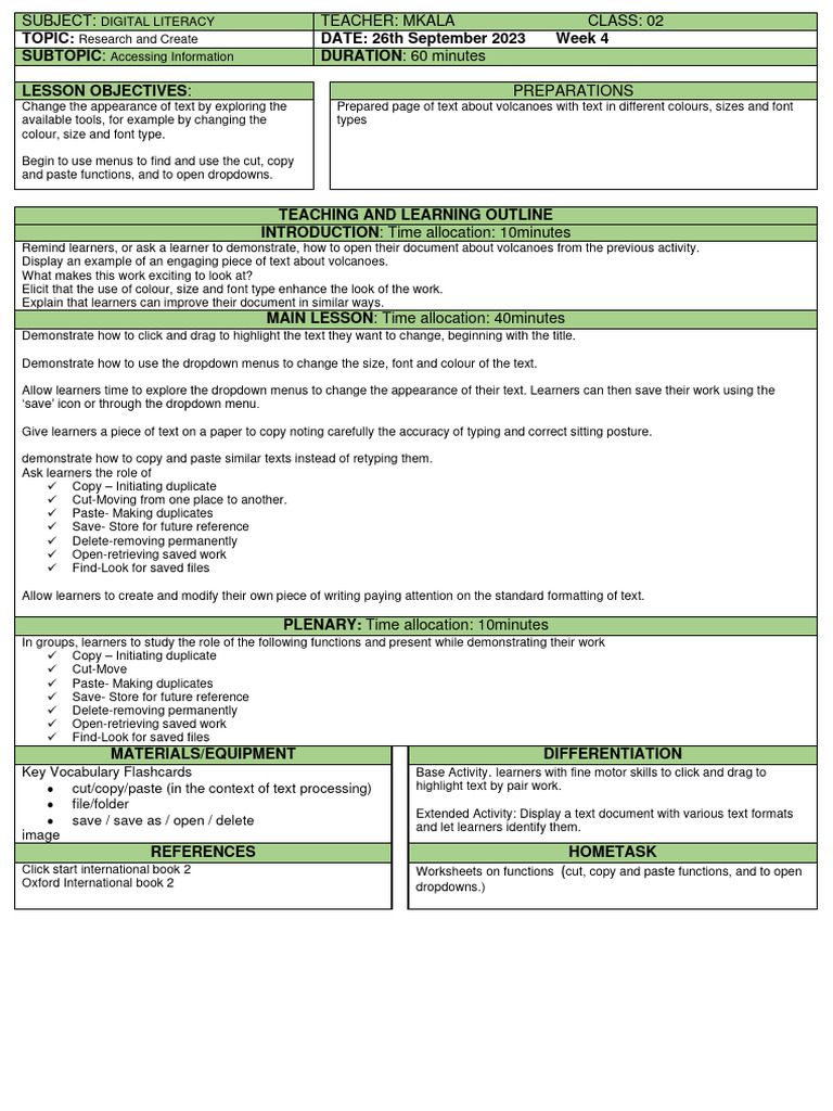 Digital Literacy Year 2 Week 4 PDF Computer File Learning