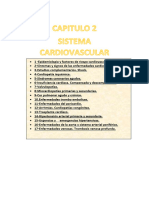 Shock Cardiogénico