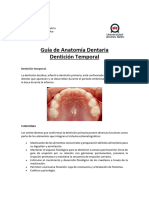 Guía Anatomía Dentaria Dentición Temporal 2023