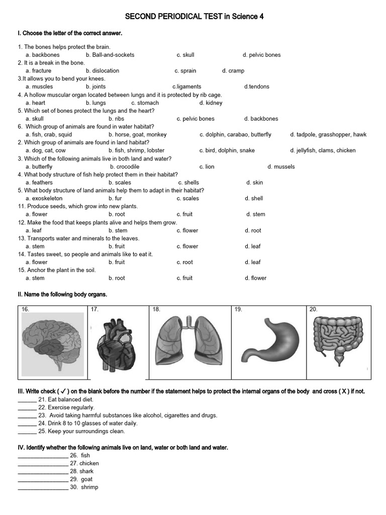 2nd Periodical Science-Print | PDF | Plants | Fish