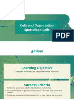 Cells and Organisation L4 Specialised Cells PowerPoint