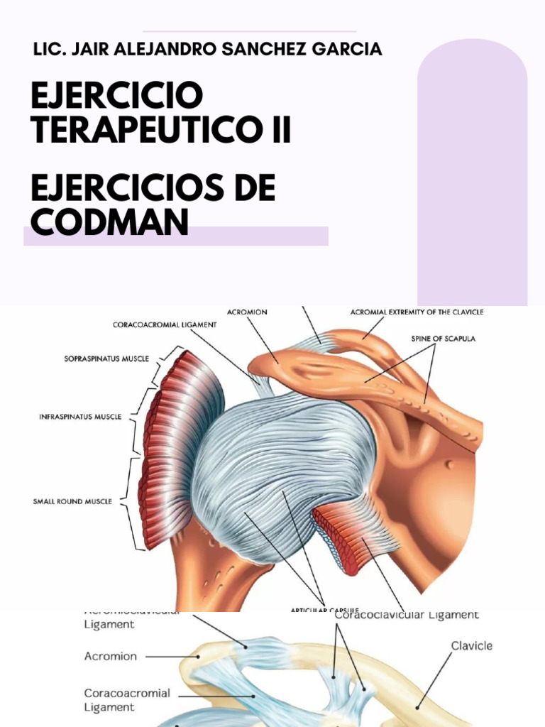 Ejercicios Pendulares Codman | PDF