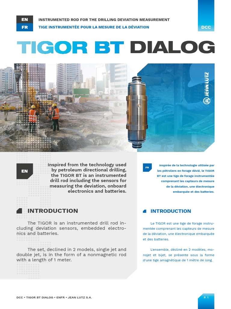 DCC - TIGOR BT DIALOG - EnFr - Part 1 | PDF