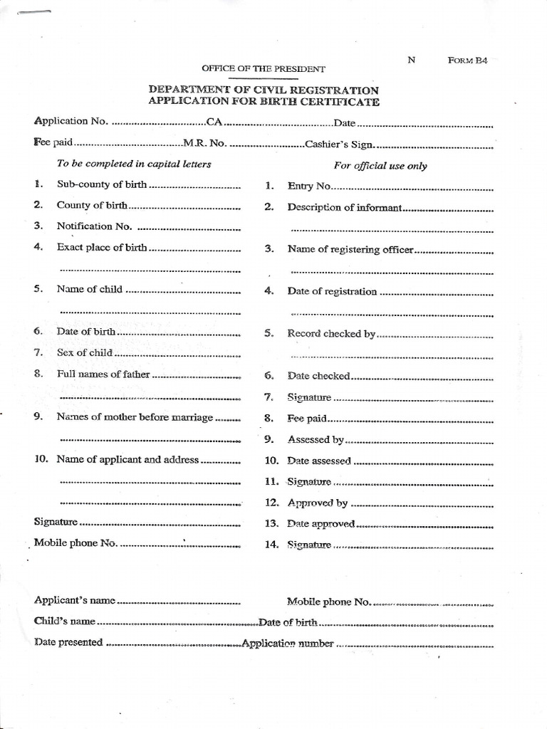 BIRTH CERTIFICATE PDF FORM DOWNLOAD visual data 6