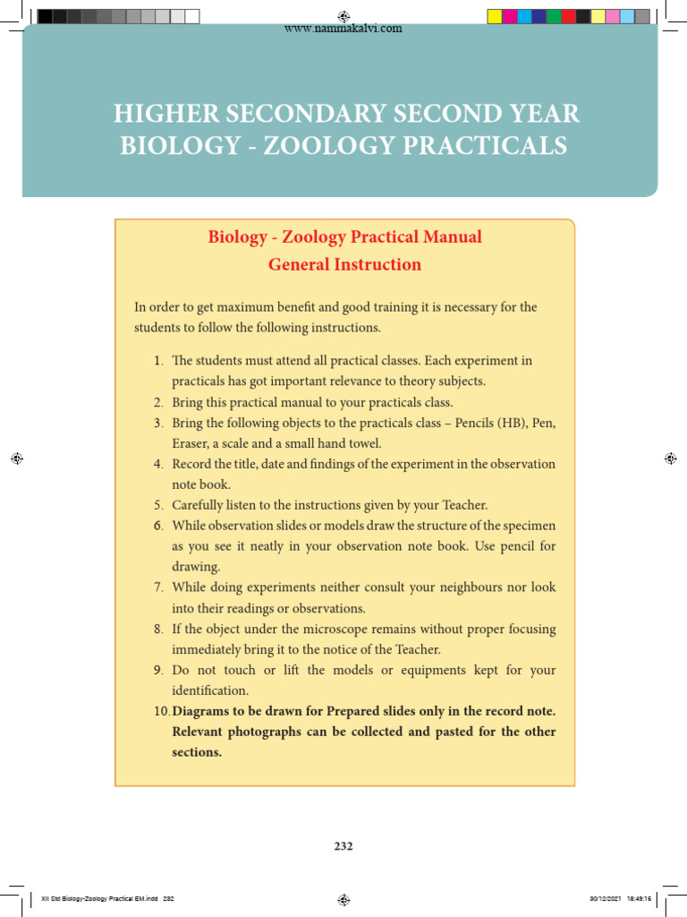 Ordinal Numbers in English – Rules, List, Usage & Examples visual data 7