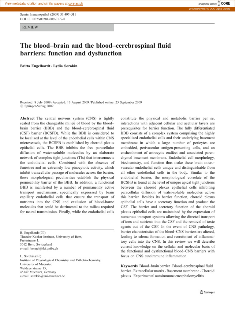 Blood Brain Barier Pdf Extracellular Matrix Cerebrospinal Fluid