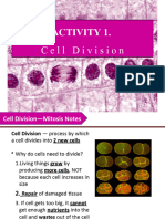 Activity 2 Cell Division