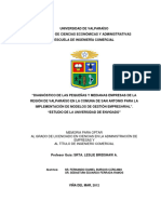 “DIAGNÓSTICO DE LAS PEQUEÑAS Y MEDIANAS EMPRESAS DE LA REGIÓN DE VALPARAÍSO EN LA COMUNA DE SAN A