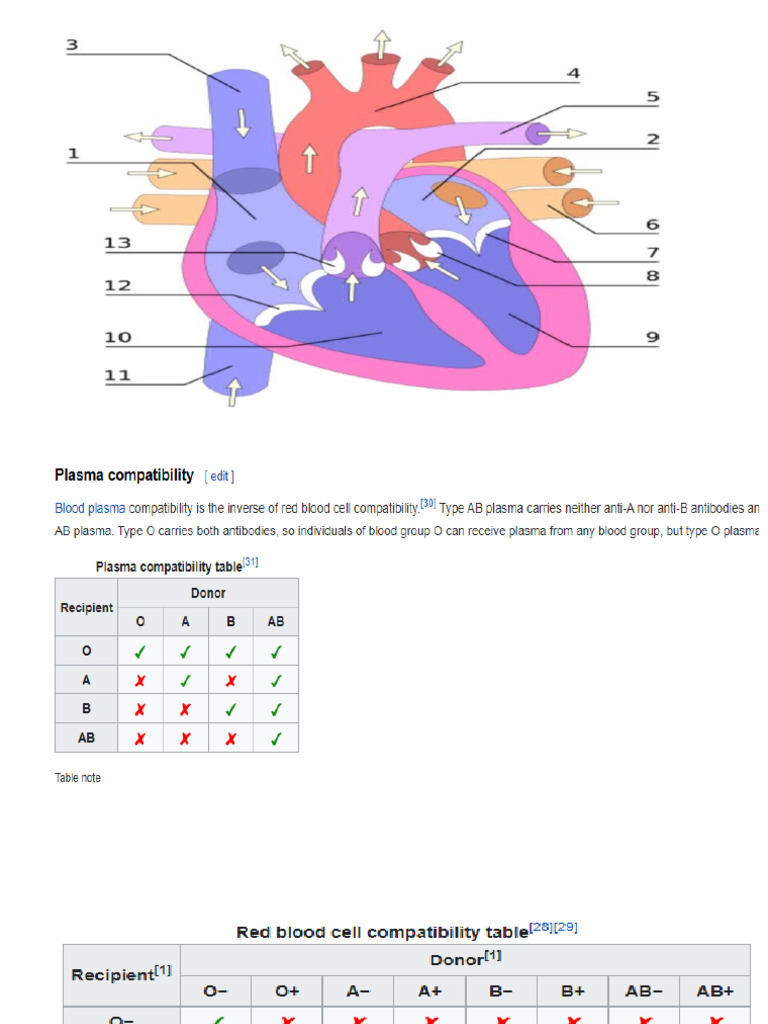 Blood | PDF