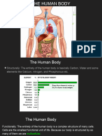 DP 20 Health and The Human Body