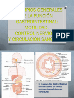 Tema 31 Gastrointestinal Motilidad Control Nervioso Circulacion Sanguinea