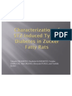 Characterization of STZ-Induced Type 2 97