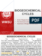 Group 2 Biogeochemical Cycles