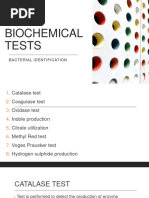 Biochemical Reactions