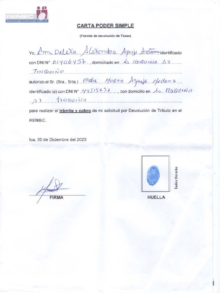 Carta Poder | PDF