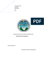 Auditoría Gubernamental - Investigación Práctica