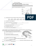 Ficha de Trabalho - Avaliação